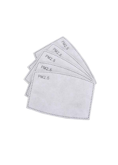 PM 2.5 Mask Filter - 10 Pk - Clearance